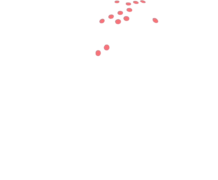 Centflow Global